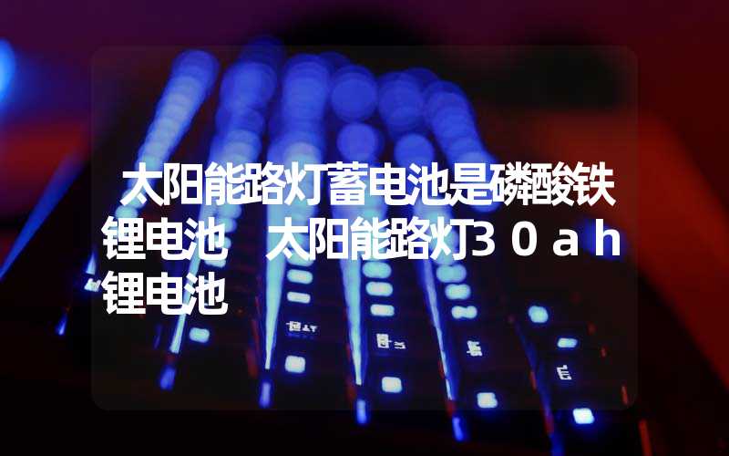 太阳能路灯蓄电池是磷酸铁锂电池 太阳能路灯30ah锂电池